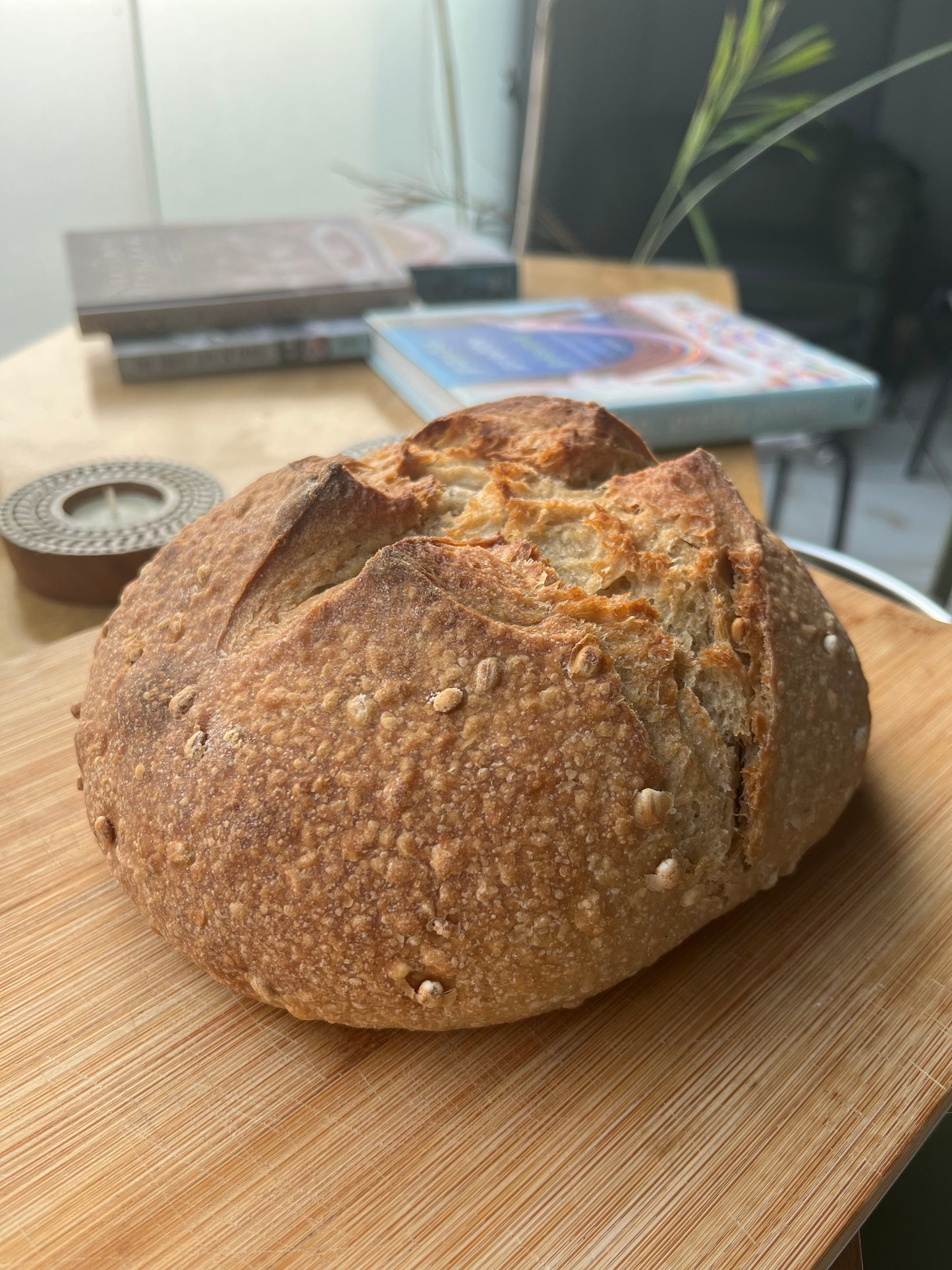 Barley -Whole Wheat Sourdough