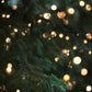 Christmas Cake